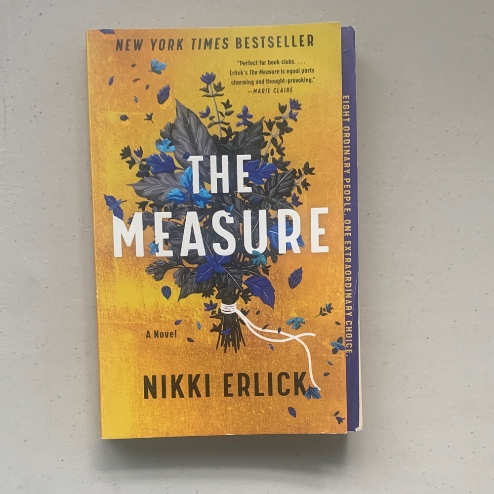 The Measure Written by Nikki Erlick Softcover Book